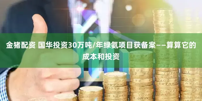金猪配资 国华投资30万吨/年绿氨项目获备案——算算它的成本和投资