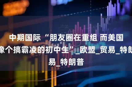 中期国际 “朋友圈在重组 而美国还像个搞霸凌的初中生”_欧盟_贸易_特朗普