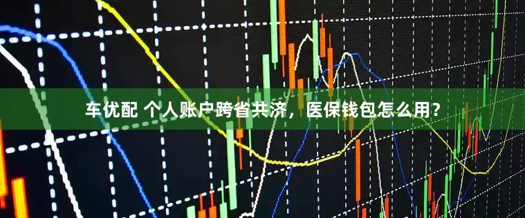 车优配 个人账户跨省共济，医保钱包怎么用？