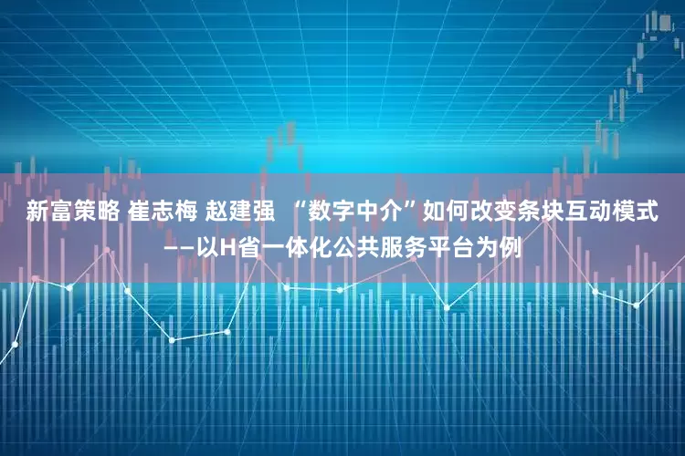 新富策略 崔志梅 赵建强  “数字中介”如何改变条块互动模式——以H省一体化公共服务平台为例